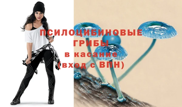 ПСИЛОЦИБИНОВЫЕ ГРИБЫ Алзамай