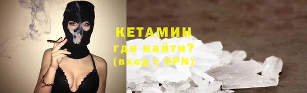 индика Саяногорск