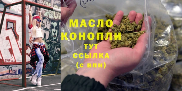 дмт Алексин