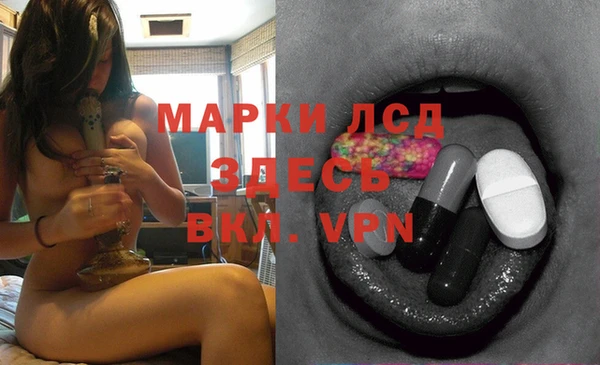ПСИЛОЦИБИНОВЫЕ ГРИБЫ Алзамай